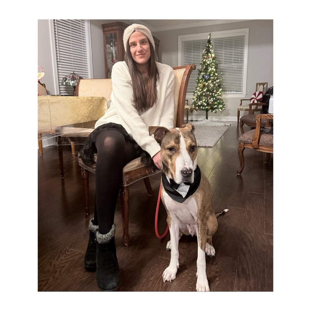 Meet your Posher, Gina Boscaino